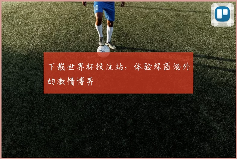 下载世界杯投注站，体验绿茵场外的激情博弈