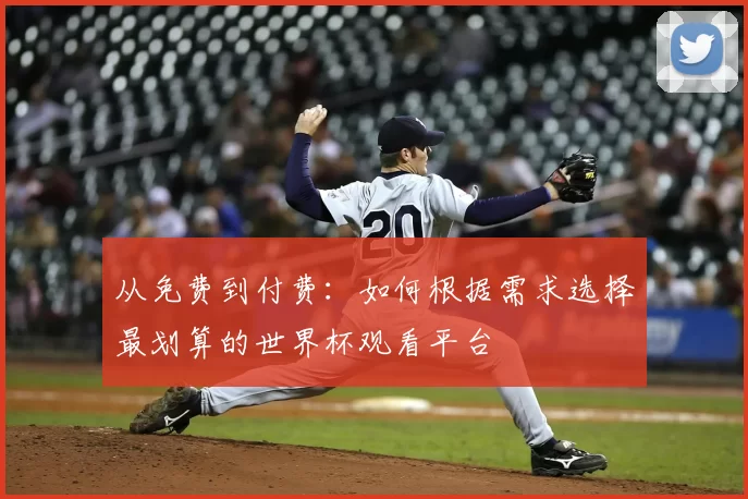 从免费到付费:如何根据需求选择最划算的世界杯观看平台