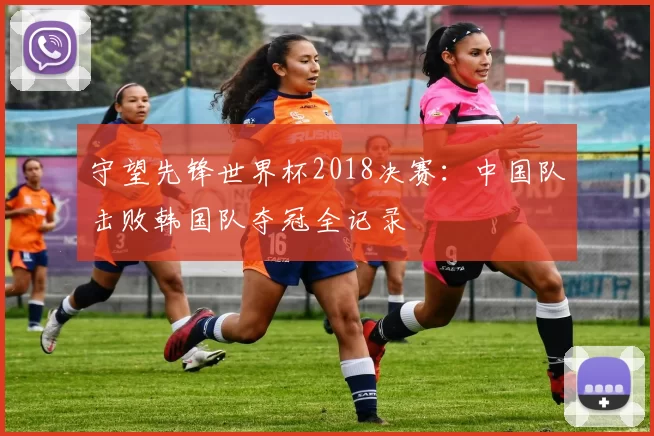 守望先锋世界杯2018决赛:中国队击败韩国队夺冠全记录