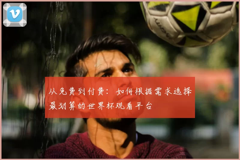 从免费到付费：如何根据需求选择最划算的世界杯观看平台