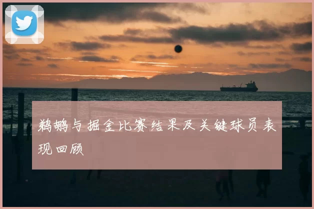 鹈鹕与掘金比赛结果及关键球员表现回顾