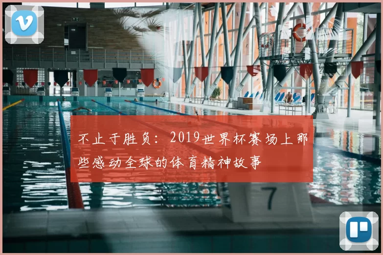 不止于胜负：2019世界杯赛场上那些感动全球的体育精神故事